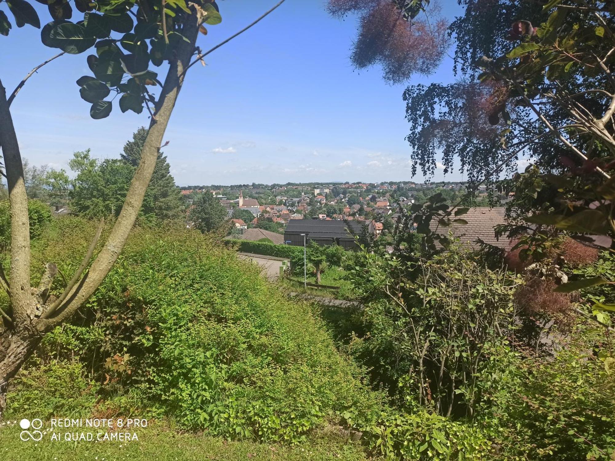 Haus Roetebuck Apartment Мюлхайм Екстериор снимка